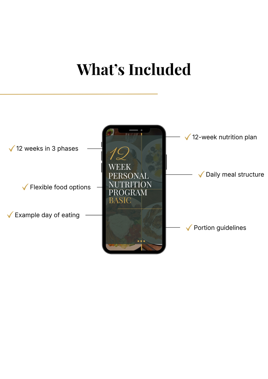 12-Week Nutrition Program - Basic