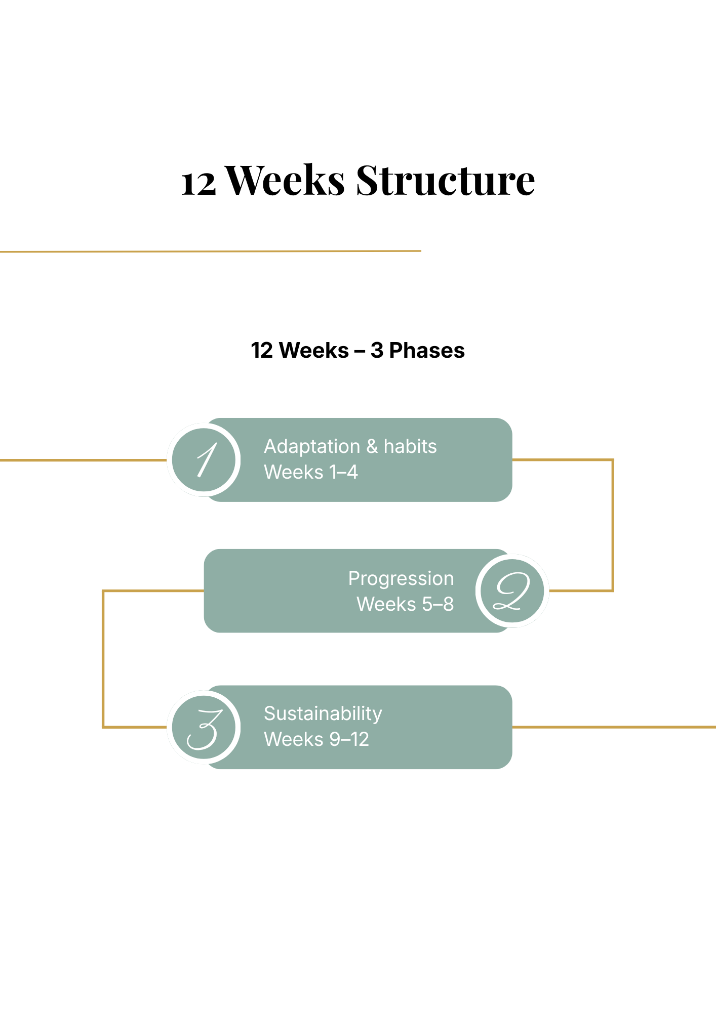 12-Week Nutrition Program - Standard